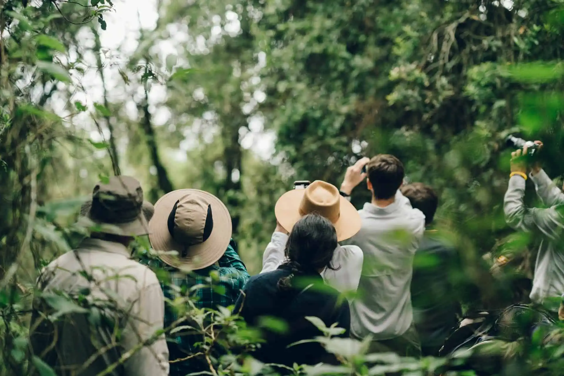 complete-guide-to-experiencing-a-mountain-gorilla-tracking-safari-in-uganda