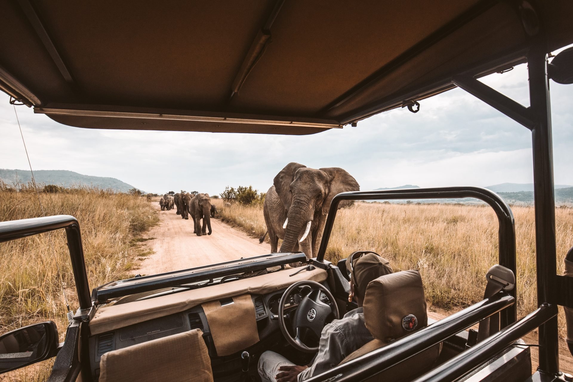 how-much-does-a-uganda-safari-cost?