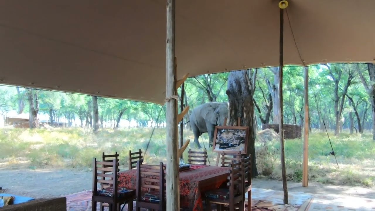 a-guide-to-visiting-lower-zambezi-national-park